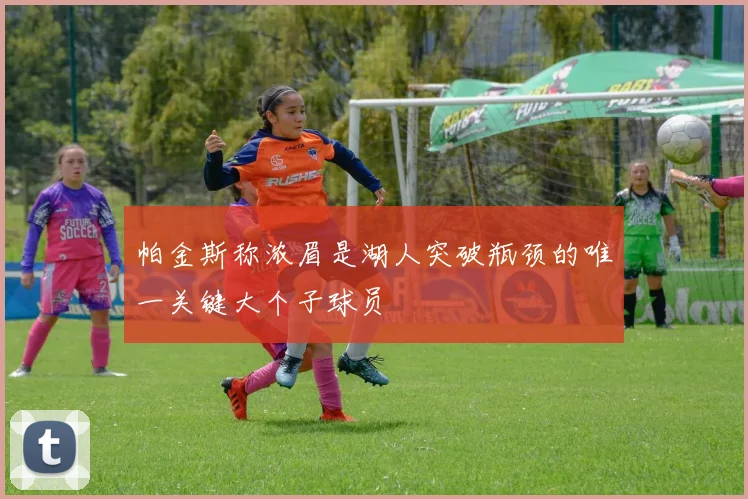 帕金斯称浓眉是湖人突破瓶颈的唯一关键大个子球员
