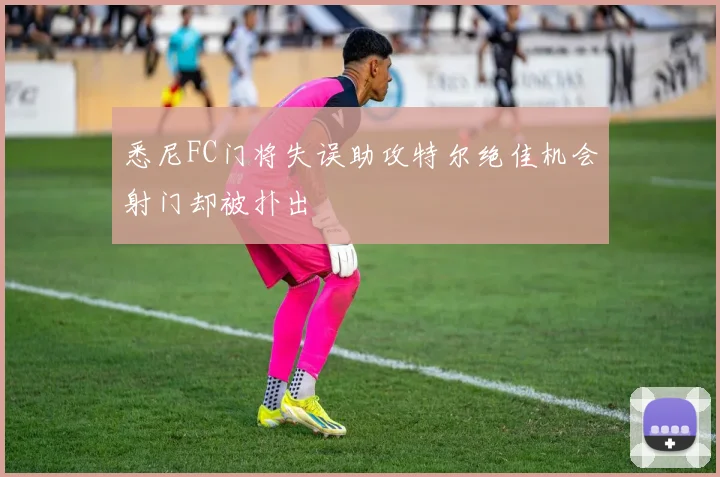 悉尼FC门将失误助攻特尔绝佳机会射门却被扑出